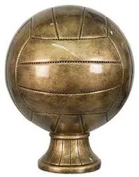 Volleyball Resin (SBR204/SBR254/SBR304/SBR354/SBR124/SBR174/SBR104/SBR154)